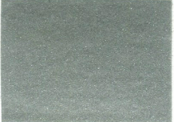 1981  Nissan Diamond Mist Metallic